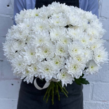 Белая кустовая хризантема - купить с доставкой в по Петровск-Забайкальскому