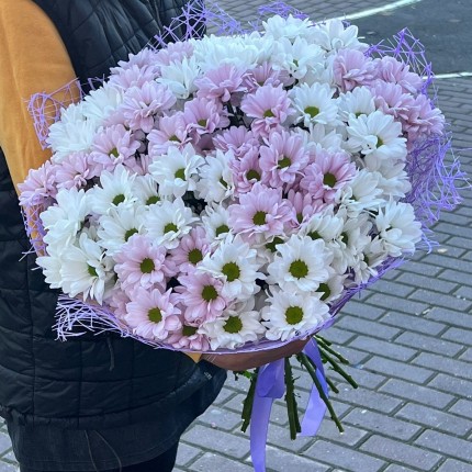 букет из розовой кустовой хризантемы - купить с доставкой в по Петровск-Забайкальскому