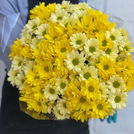 желтая кустовая хризантема - купить с доставкой в по Петровск-Забайкальскому